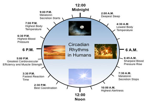 Circadianclock - Centuary India