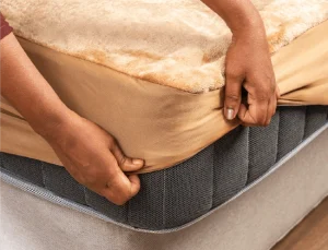 Mattress Protector