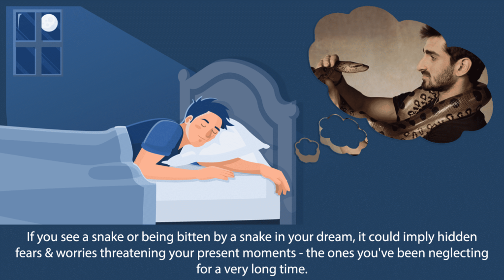 Sleep & Dreams – Decoding Dreams - snake