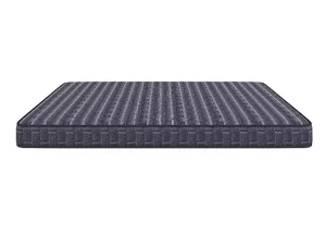 Centuary Dr. Sleep+ – Orthopedic Coir Mattress