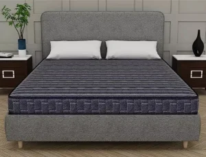 Centuary Dr. Sleep+ Mattress 5-Inch Rubberised Coir Extra Firm Spine Support Mattress