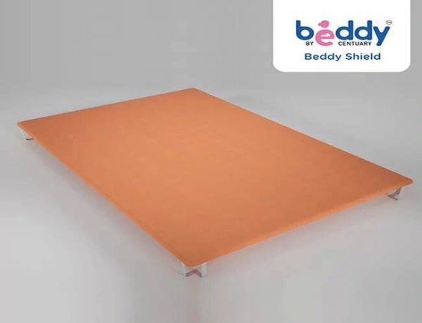 beddy