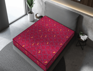 https://www.centuaryindia.com/wp-content/uploads/2022/11/Comfort-Collection-King-Coir-6-300x229.png