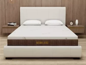 Centuary Natura Latex Mattress 8-Inch 100% Natural Latex Medium Firm Orthopedic Mattress