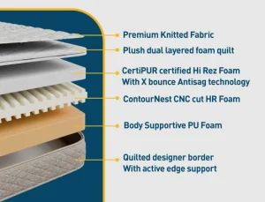 PUREST_Web-Banners-650x497_3-1-629