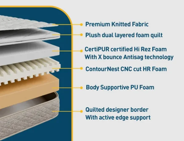 PUREST_Web-Banners-650x497_3-1-629