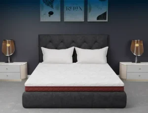 Centuary Latex Pro Mattress