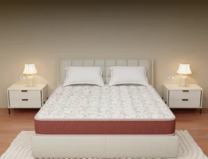 Centuary Back Pro Mattress