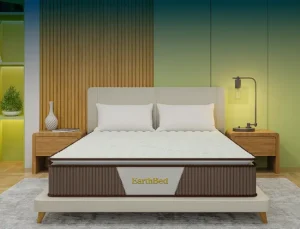 EARTH BED
