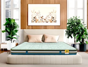 Centuary Q-Gel Natura Mattress 6 & 8-Inch Pincore Latex 7-Zone Support Bed Mattress