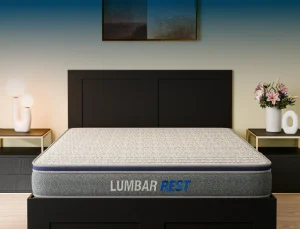 Centuary Lumbar Rest Mattress 8-Inch HR Foam Bonnel Spring Back Support Mattress