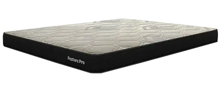 Posture Pro