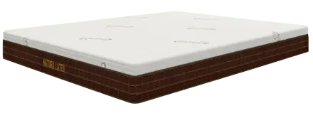 latex pro