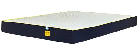 ortho pro